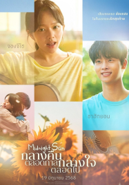 Midnight Sun (2025) Midnight Sun (2025)